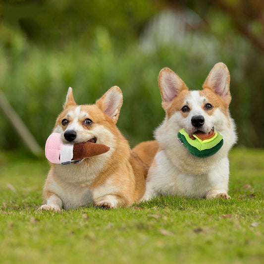 Puppy molar toy