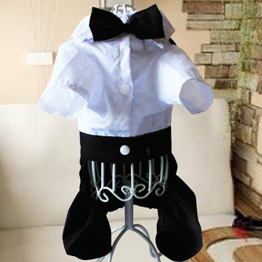 Teddy Dog British Bow Tie Suit Bib