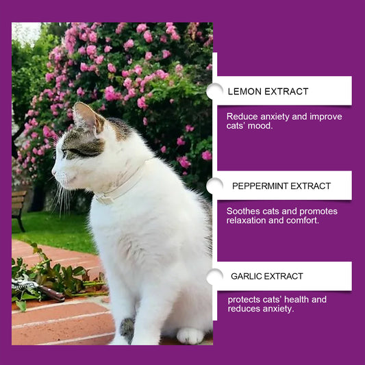 Cat Mood Spray To Prevent Scratching