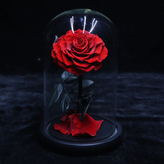 Glass Cover Tanabata Valentine's Day Immortal Rose Gift