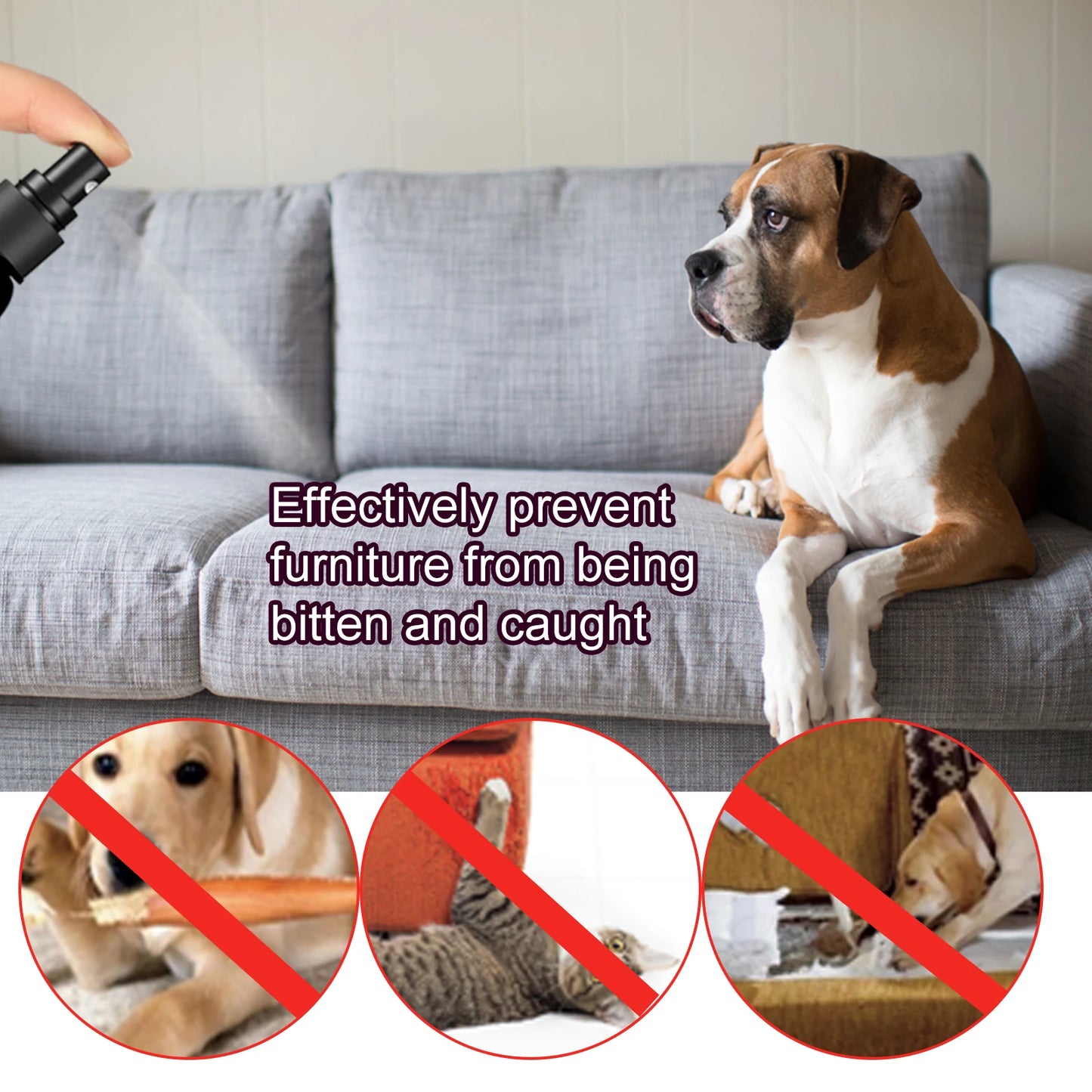 Natural Plant Extracts Bitter Pet Anti-chewing Spray Drives Away Dogs and Cats From Scratching and Biting the Sofa Spray