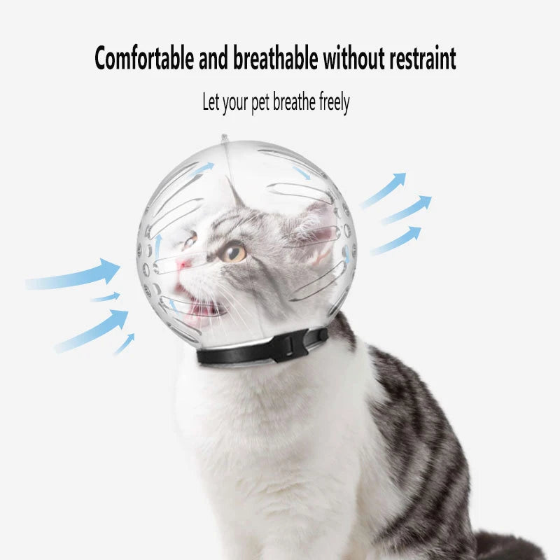 ALANTIA Wholesale New Reflective Breathable Injection Anti-bite Cat Space Hood Elizabeth Circle Pet Elizabeth Collar