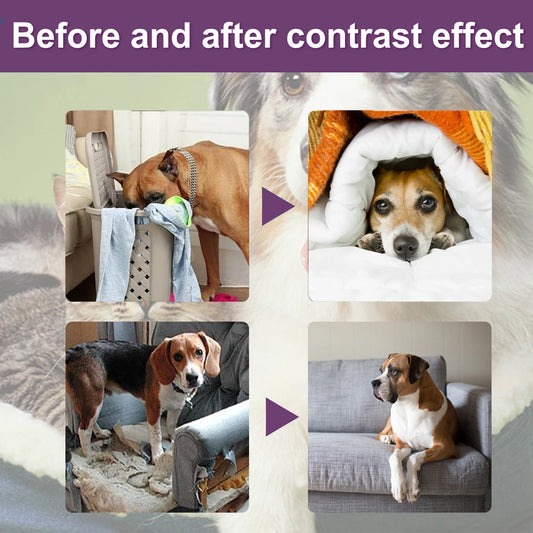 Natural Plant Extracts Bitter Pet Anti-chewing Spray Drives Away Dogs and Cats From Scratching and Biting the Sofa Spray