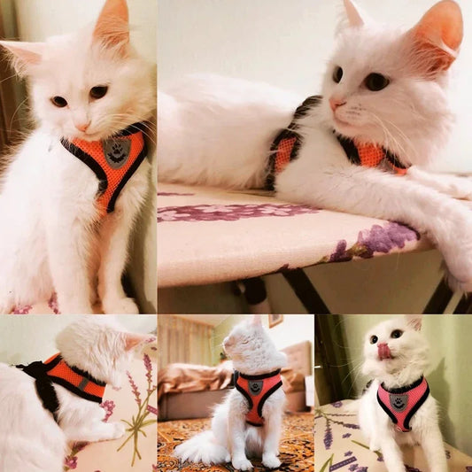 Premium Adjustable Cat & Dog Harness Vest with Leash - Breathable Mesh Pet Walking Collar for Small to Medium Pets