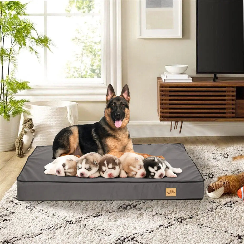 ML XL 2XL Hundebett Jumbo Orthopädisches Hundebett mit Memory-Schaum-Basis, Matratze und waschbarem Bezug, wasserdicht