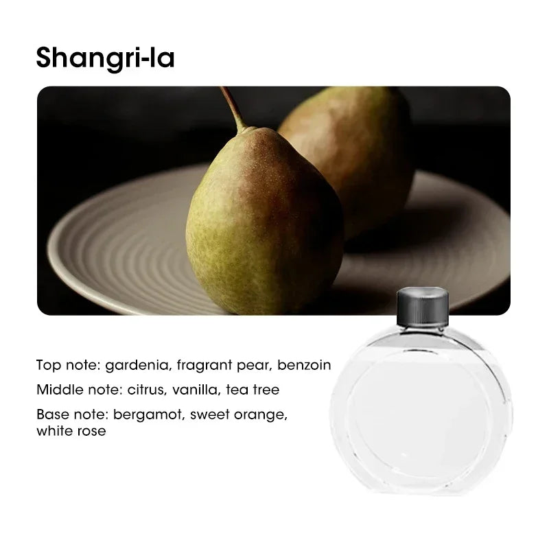 Mini Aroma Diffuser USB Plant Essential Oil Diffuser Home Car Aromatherapy Machine Toilet Office Air Purification Nebulizer