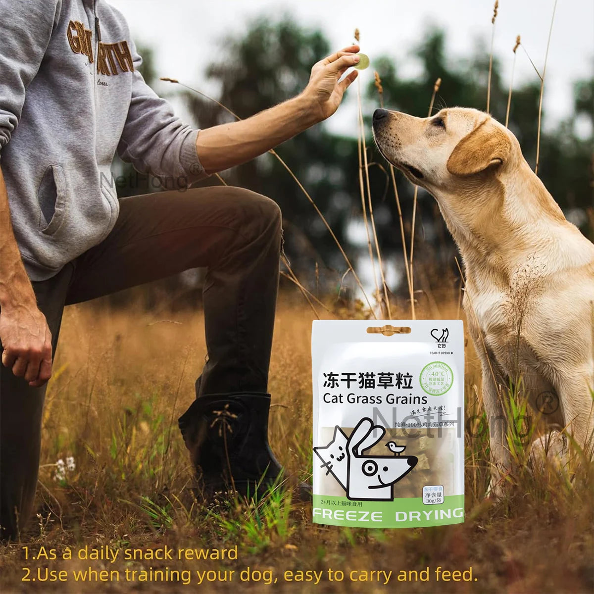 Freeze-Dried Egg Yolk Cat Treats with Cat Grass - Healthy Pet Snacks for Hair & Skin, Grain-Free, Natural Crunchy Food Topper