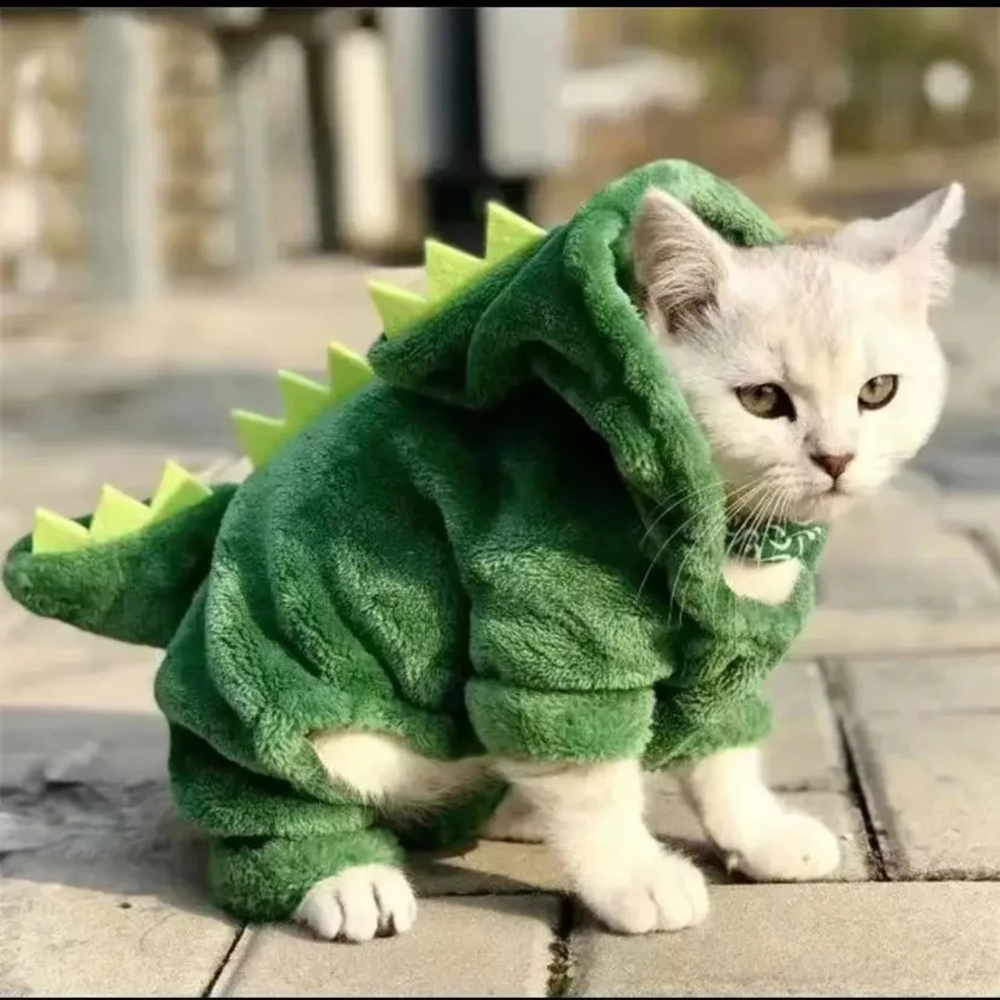 Pet Cat Dog Halloween Dog Clothes Small Dogs Funny Dinosaur Cosplay Costume Winter Warm Cat Coat Fleece Hoodies Sweater Apparel