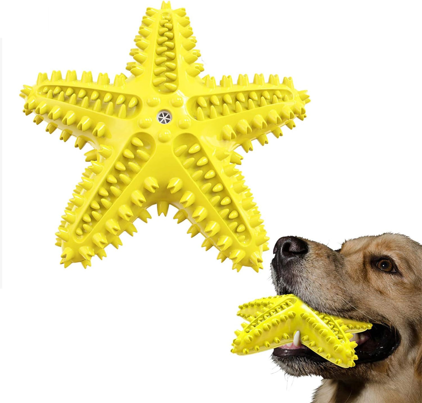 Sounding Starfish The Natural Toothbrush For Small And Medium Dogs Starfish Natural Tooth Brush Teeth Cleaning