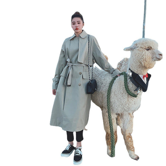 New Style Windbreaker Women's Mid-length