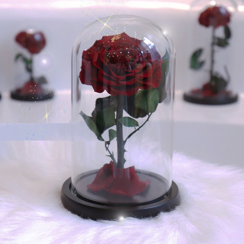 Glass Cover Tanabata Valentine's Day Immortal Rose Gift