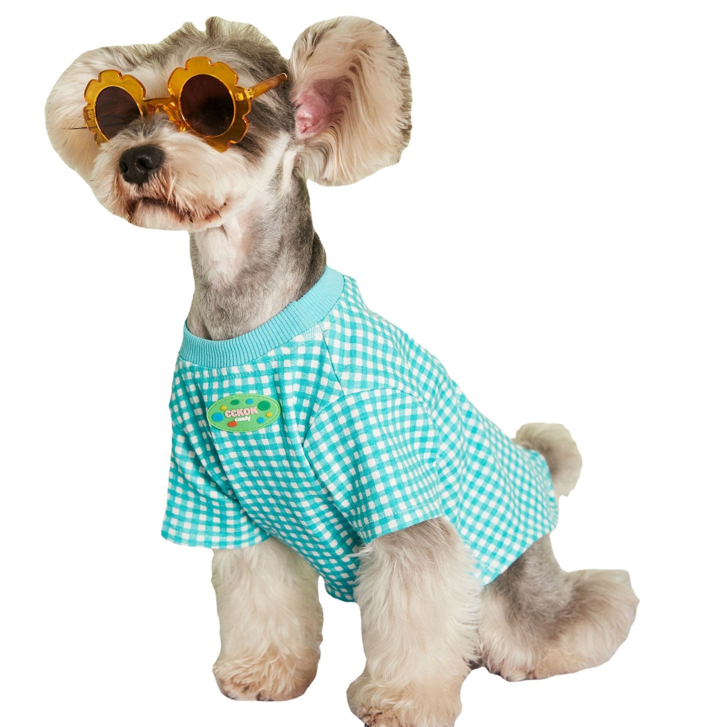 Summer Thin Candy Color Plaid T-Shirt Teddy
