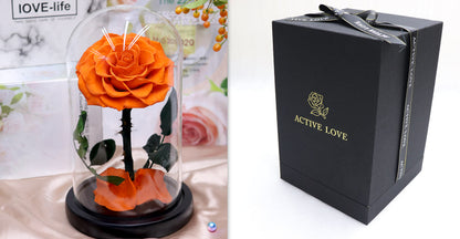 Glass Cover Tanabata Valentine's Day Immortal Rose Gift