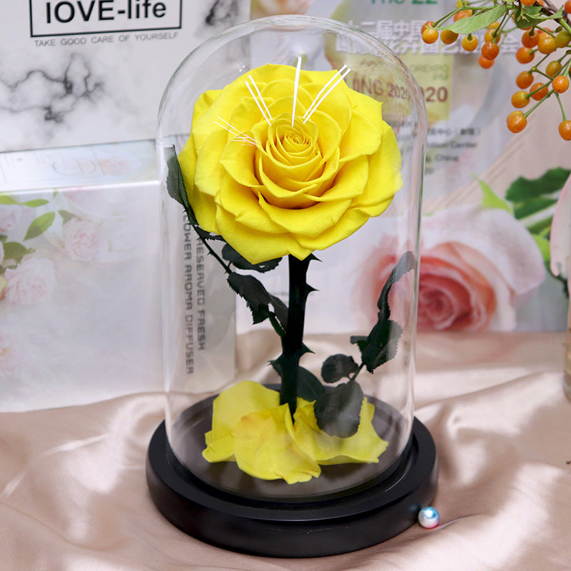 Glass Cover Tanabata Valentine's Day Immortal Rose Gift