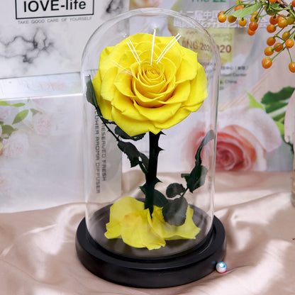 Glass Cover Tanabata Valentine's Day Immortal Rose Gift