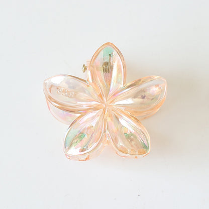 Retro Sweet Hair Claw Clip Women's Side Grip
