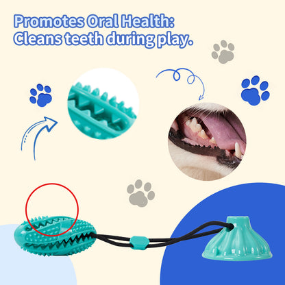 Suction Cup Pull Rope Leaking Pet Toy Ball Tpr Molar Teeth Cleaning Vent Ball Dog Toy Ball