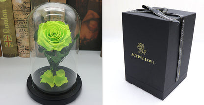 Glass Cover Tanabata Valentine's Day Immortal Rose Gift