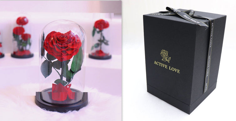 Glass Cover Tanabata Valentine's Day Immortal Rose Gift