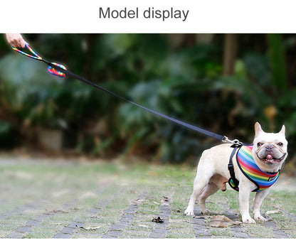 Rainbow chest strap