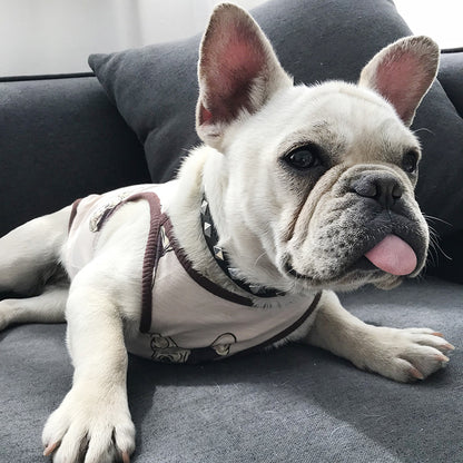 Cartoon bamboo cotton cat costume