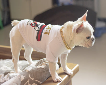 Dog metal big gold chain