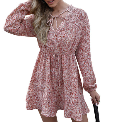 Lace V-Neck Floral Long Sleeve Mid-Length Dress Women