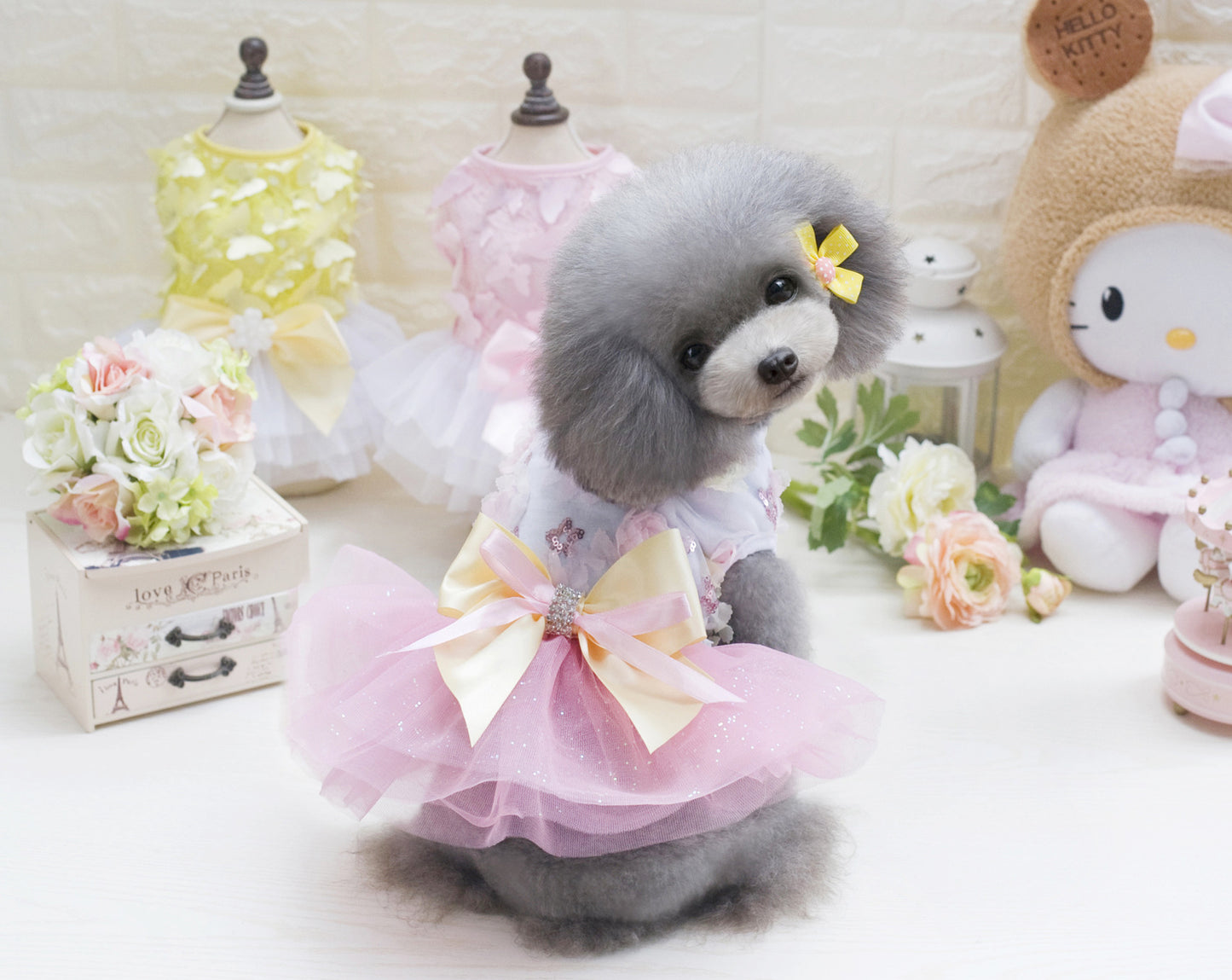 Teddy dog pet dress