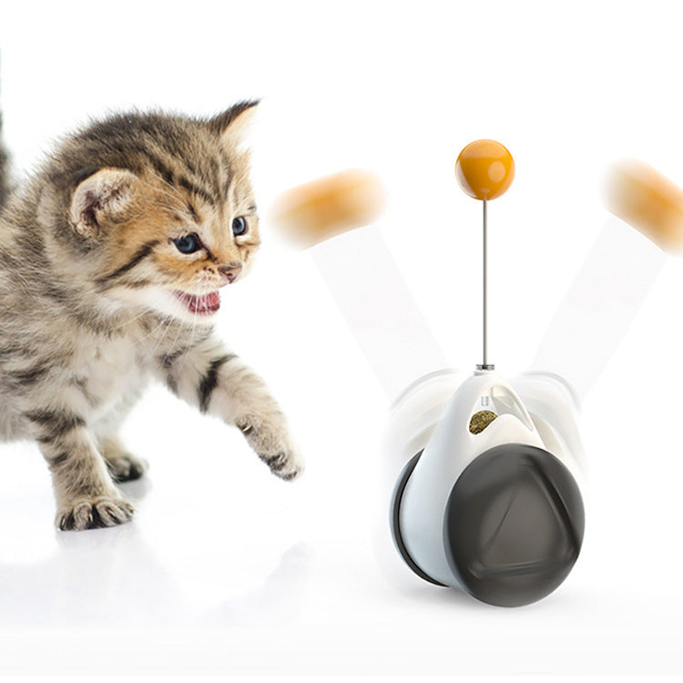 Balance swing car funny cat toy