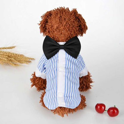Breathable spring and summer pet clothing