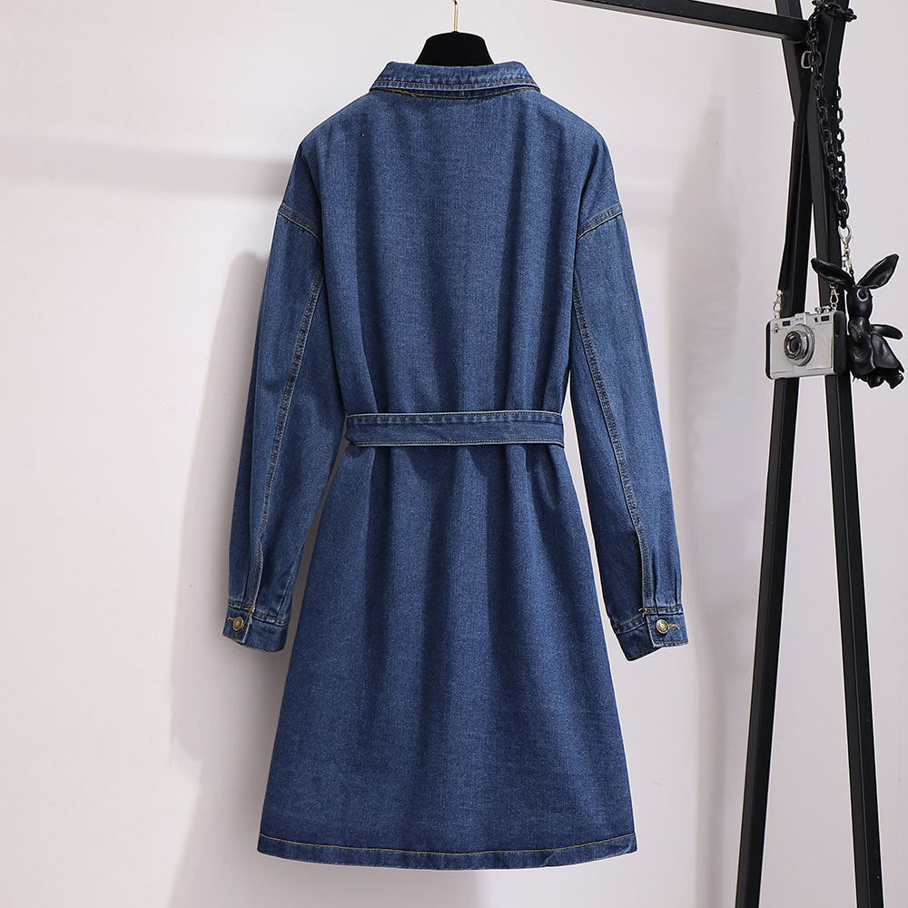 Mid-length loose a-line skirt long-sleeved denim dress