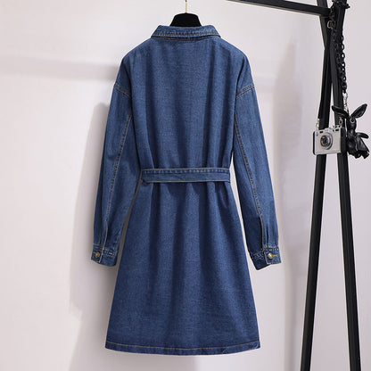 Mid-length loose a-line skirt long-sleeved denim dress