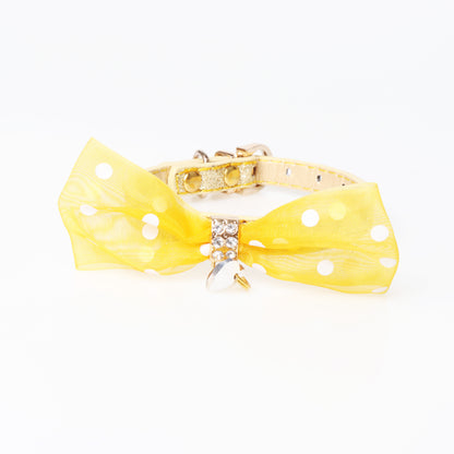 Bright Colors Collar