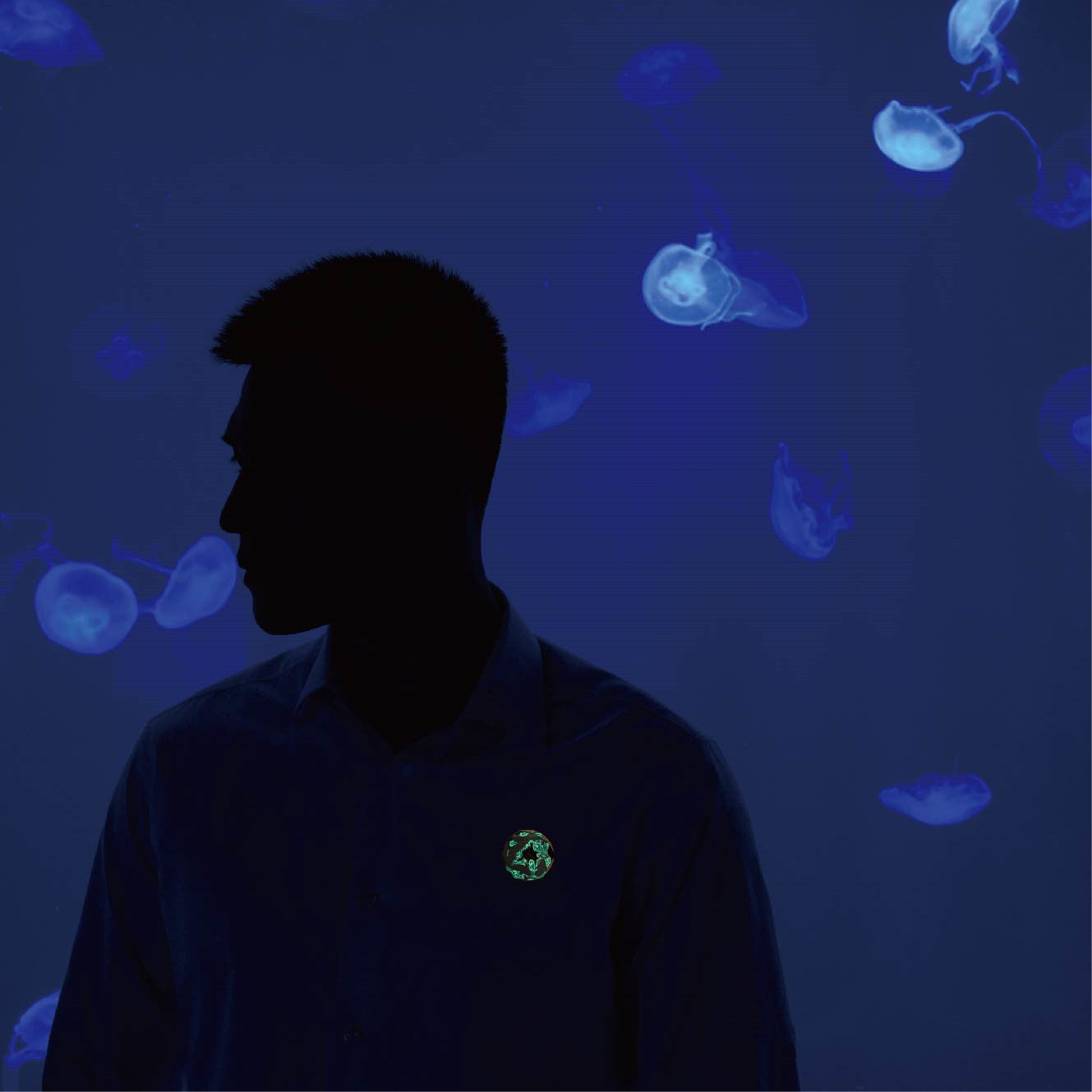 Beluga Narwhal Designer Original Brooch Whale Badge Couple Luminous Queen'S Day Gift Jewelry