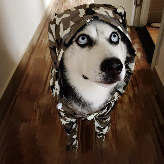 Dog Raincoat Edge Shepherd Four-Legged Big Dog Clothes Labrador Satsuma