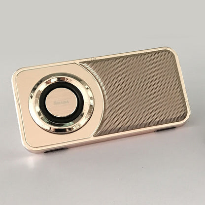 Retro Mini Bluetooth Speaker - Portable Wireless Metal Speaker with FM Radio & USB - Premium Sound Gift