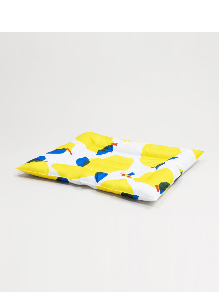 Pet Ice Pad Cooling Pad Gel Cooling Sleeping Pad Non-Sticky Dog Pad