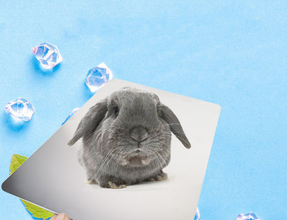 Pet Cooling Plate Aluminum Plate Rabbit Cooling Plate Guinea