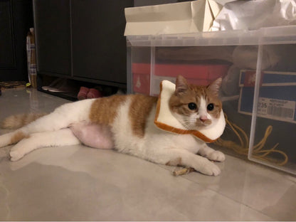 British short puppet cute bread slice cartoon headgear