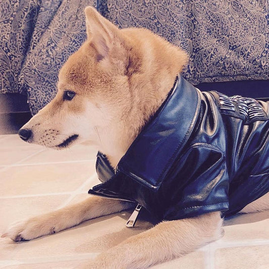 French Fighting Leather Shiba Inu Clothes Pet Leather