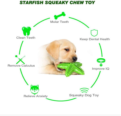 Sounding Starfish  The Natural Toothbrush For Small And Medium Dogs Starfish Natural Tooth Brush Teeth Cleaning