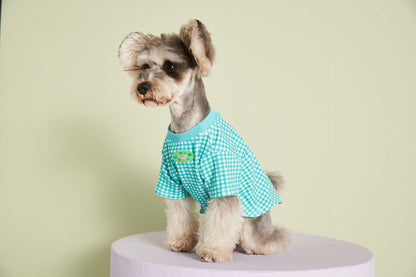 Summer Thin Candy Color Plaid T-Shirt Teddy