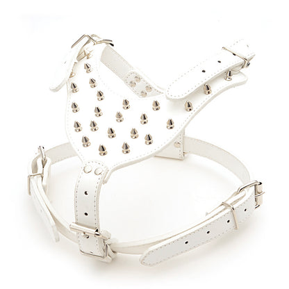 Three Piece Pet Rivet Set