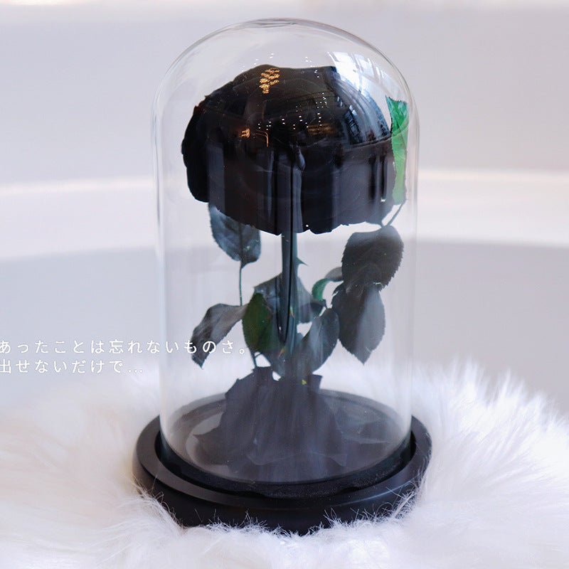 Glass Cover Tanabata Valentine's Day Immortal Rose Gift