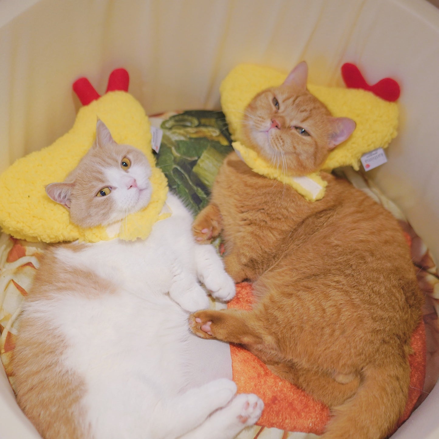 Tempura hat fried shrimp headgear