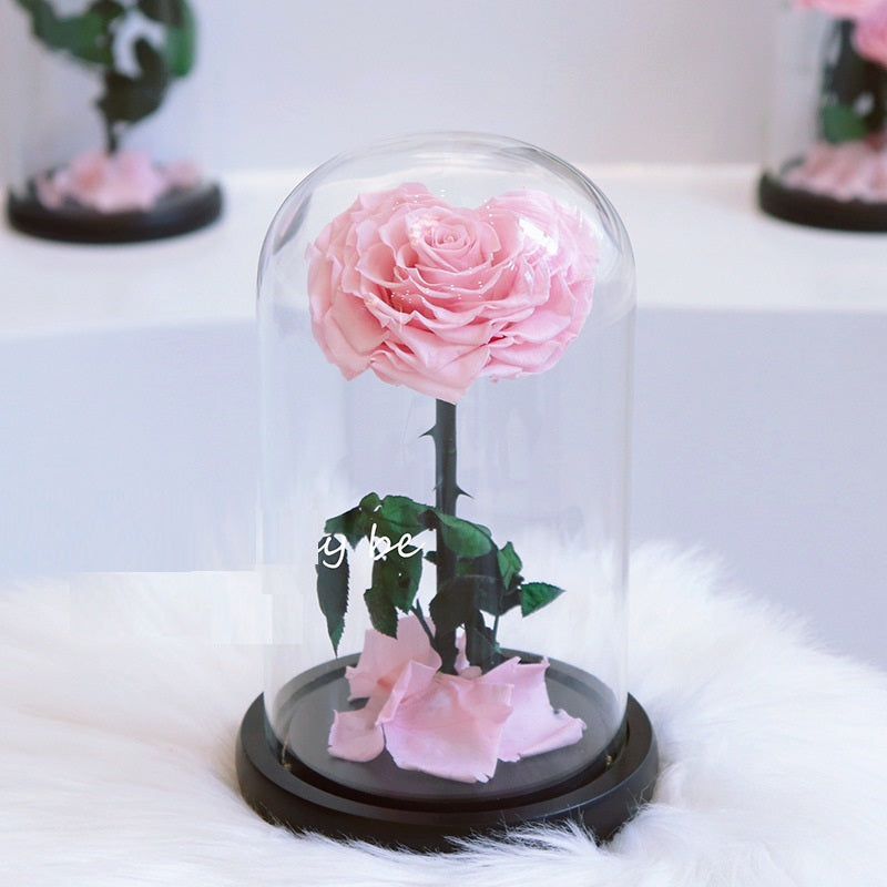 Glass Cover Tanabata Valentine's Day Immortal Rose Gift