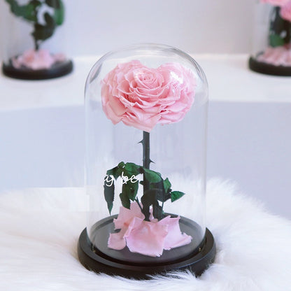 Glass Cover Tanabata Valentine's Day Immortal Rose Gift