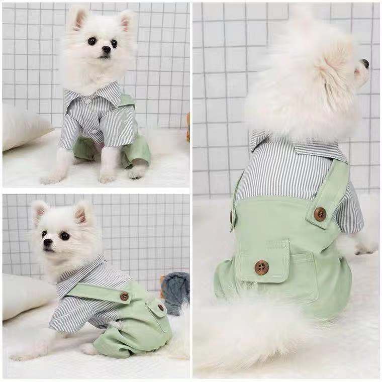 Spring And Autumn Thin Pet Puppy Cat Clothes