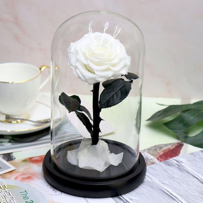 Glass Cover Tanabata Valentine's Day Immortal Rose Gift