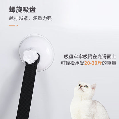 Cross-Border Trade New Model Hanging Cat Climbing Frame Suction Cup Wall-Mounted Cat Bed Autumn and Winter Double-Layer Cat Bed Pet Supplies
